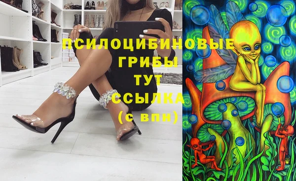 ECSTASY Белокуриха