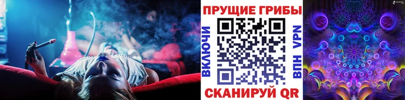 Галлюциногенные грибы мухоморы  купить  сайты  Корсаков 
