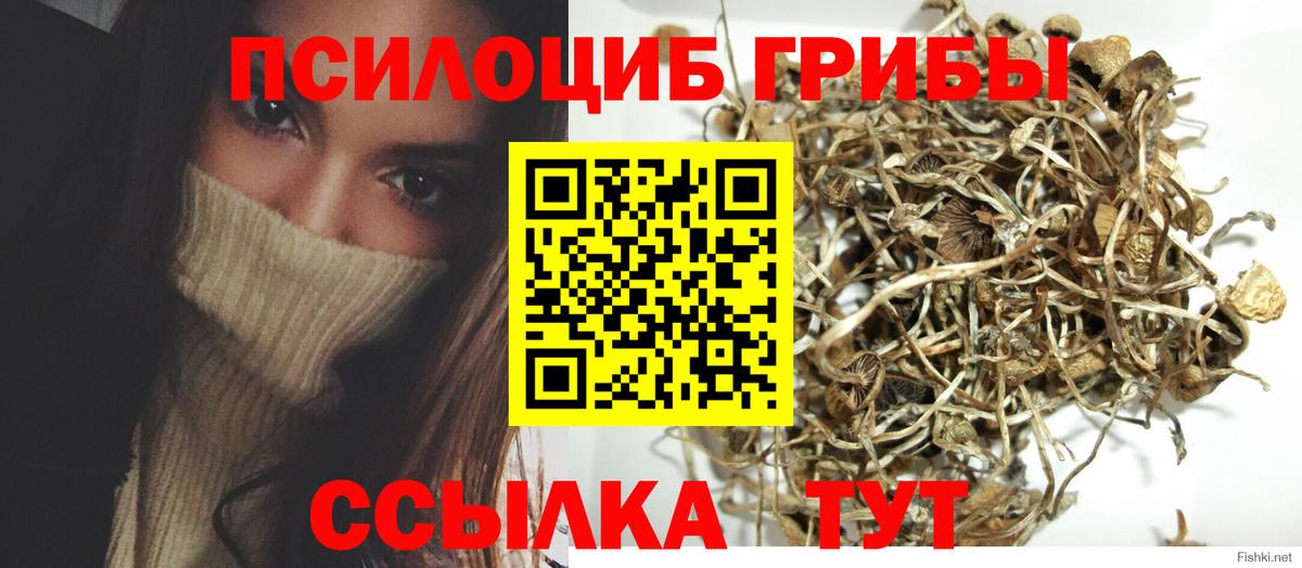 Галлюциногенные грибы прущие грибы  Вход с VPN  Корсаков 